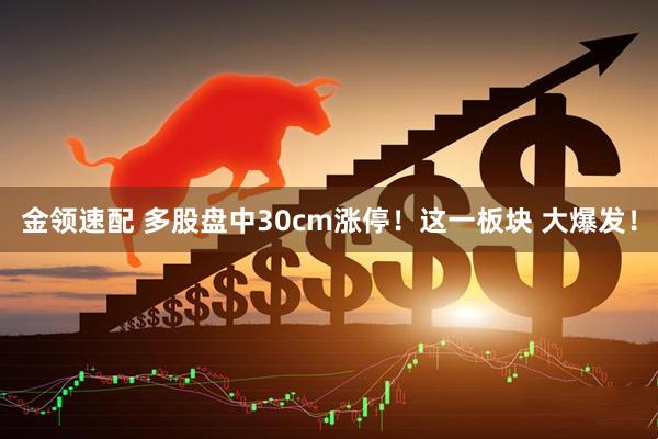 金领速配 多股盘中30cm涨停！这一板块 大爆发！