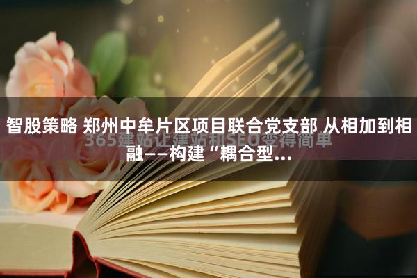 智股策略 郑州中牟片区项目联合党支部 从相加到相融——构建“耦合型...