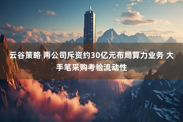 云谷策略 两公司斥资约30亿元布局算力业务 大手笔采购考验流动性