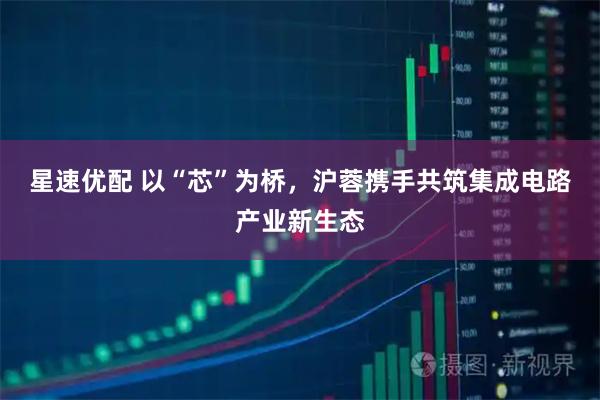 星速优配 以“芯”为桥，沪蓉携手共筑集成电路产业新生态