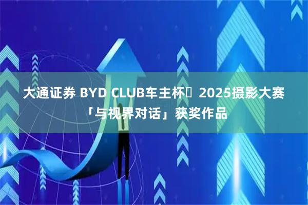 大通证券 BYD CLUB车主杯・2025摄影大赛「与视界对话」获奖作品